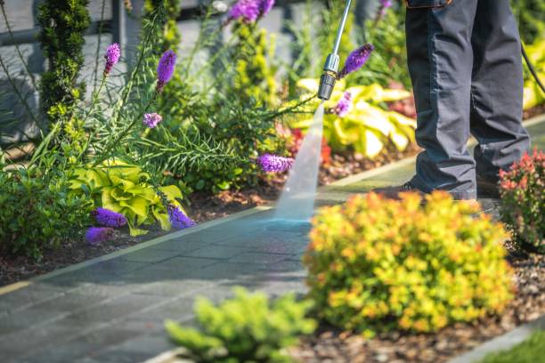 Best Dumpster Area Cleaning  in Perrysburg, OH